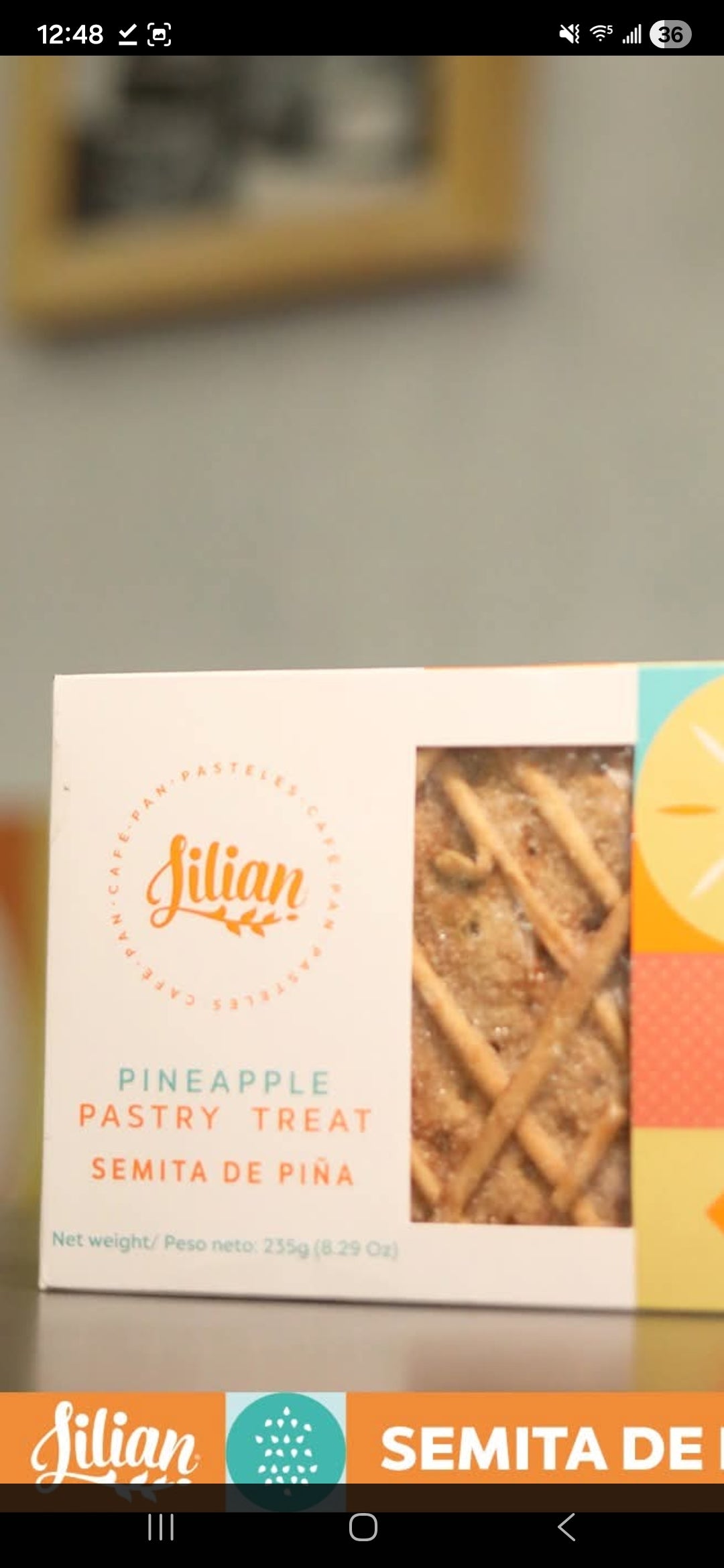 Semita de Piña Panaderia Lilian | Pineapple Filled Sweet Pastry  Salvadoreña