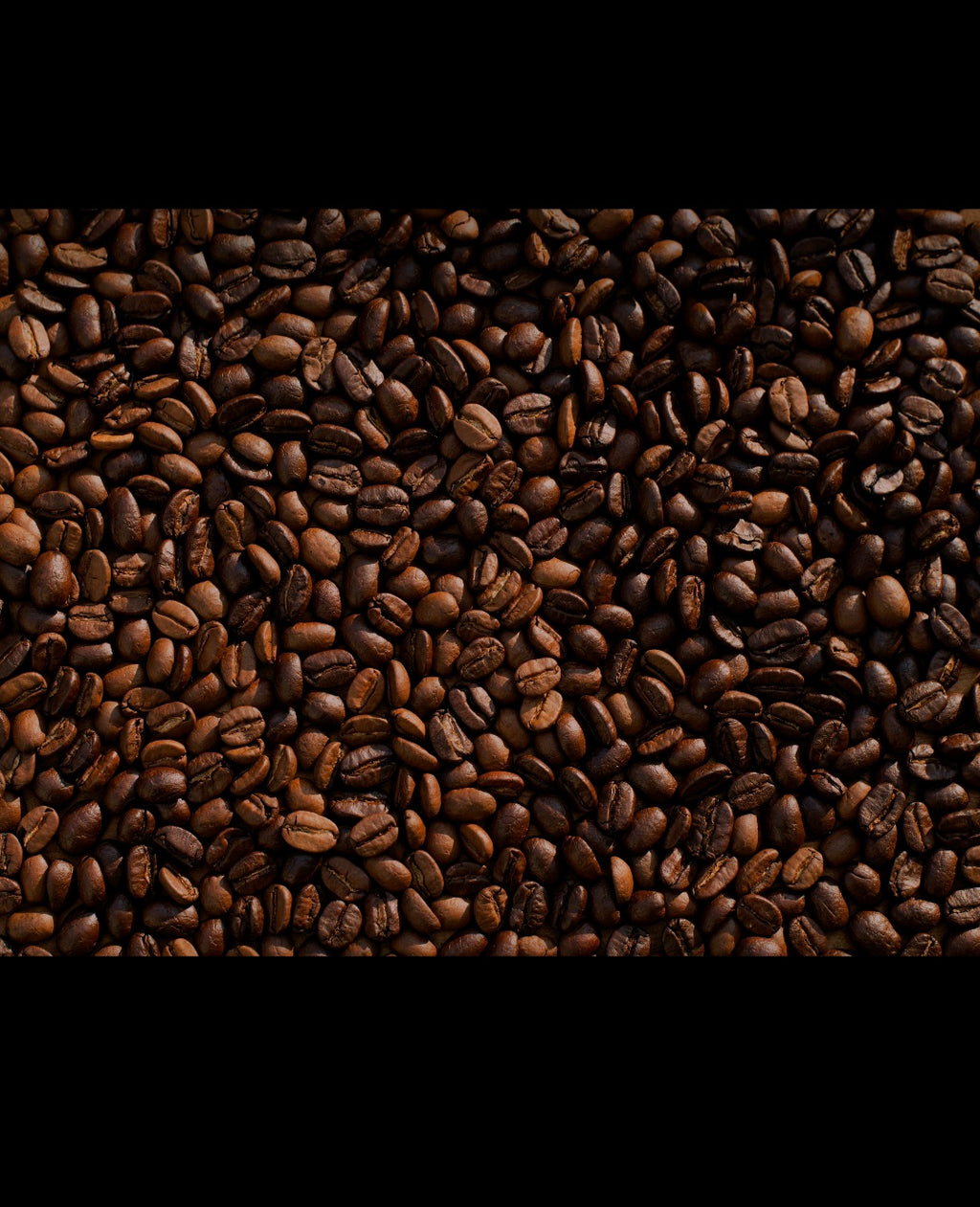 Cajita de Pan & Café Salvadoreño | Café Artesanal + Pan Génesis, Pan San Sivar (24 Unidades x2) o Pan Sinaí 14 Unidades