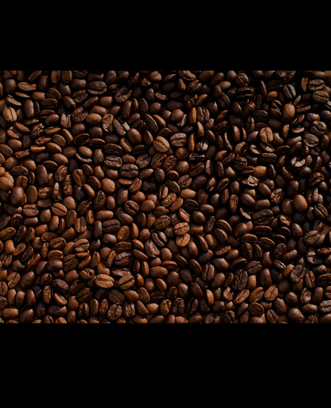 Cajita de Pan & Café Salvadoreño | Café Artesanal + Pan Génesis, Pan San Sivar (24 Unidades x2) o Pan Sinaí 14 Unidades